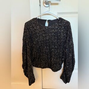 Zara Black Sequin Long Sleeve Crop Top